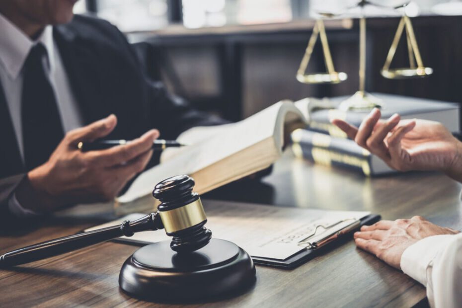 alacak davası dilekçe örneği