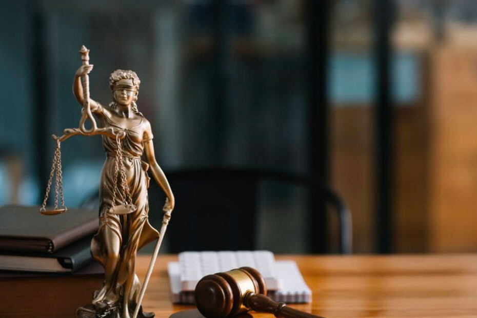 hmk madde 119 dava dilekçesinin içeriği